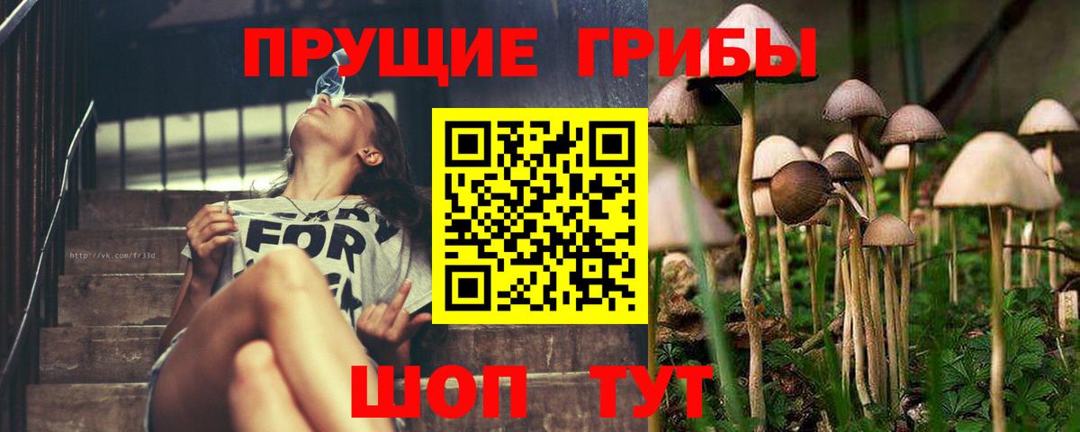 Псилоцибиновые грибы Magic Shrooms Клин